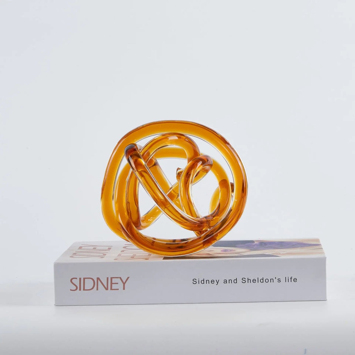 Glass Rope Knot Abstract Sculpture